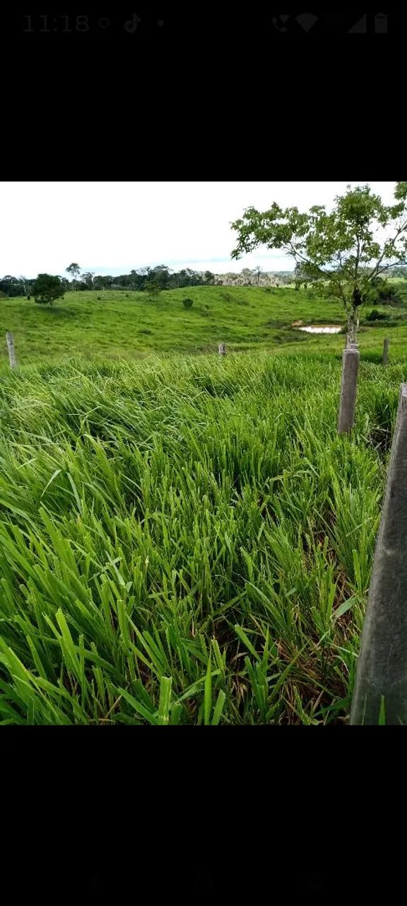 Vende se essa Área  - Foto 4