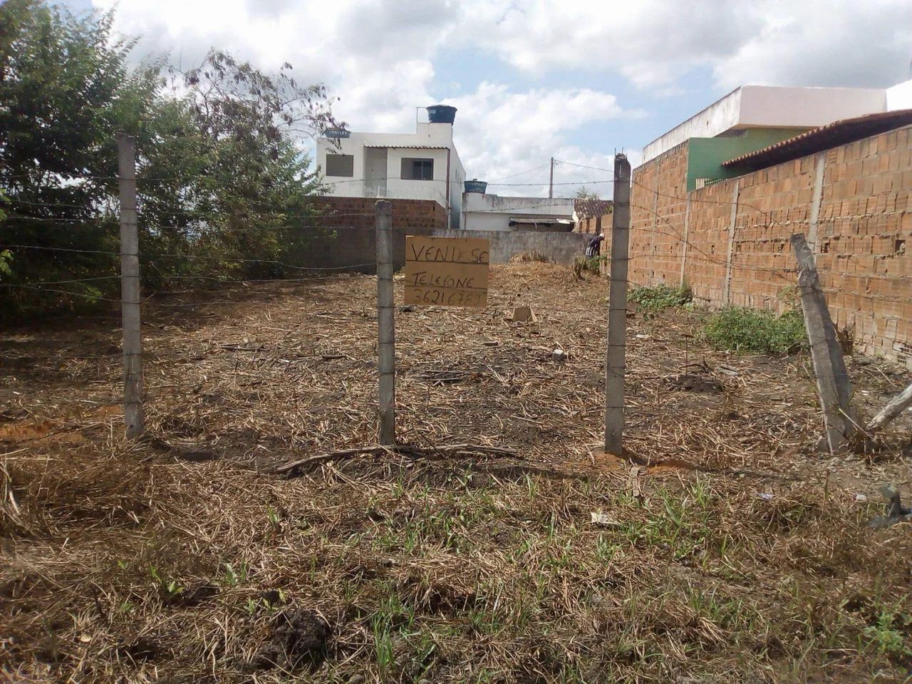 Foto - Carpina - Cajá