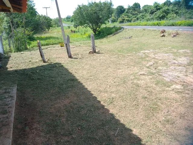  *46. Trabalho com roçadeira,limpeza terreno * - Foto 3