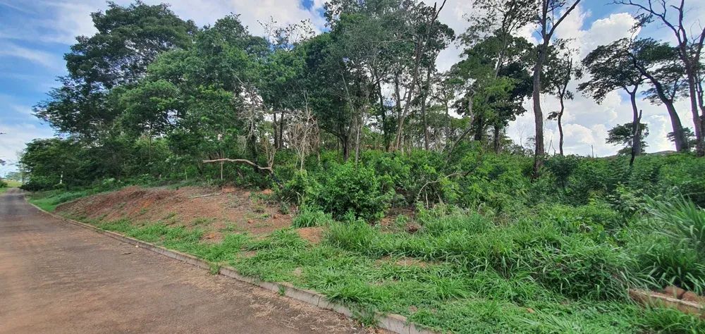Chácara com 1.500m² próximo a Nerópolis - Foto 3