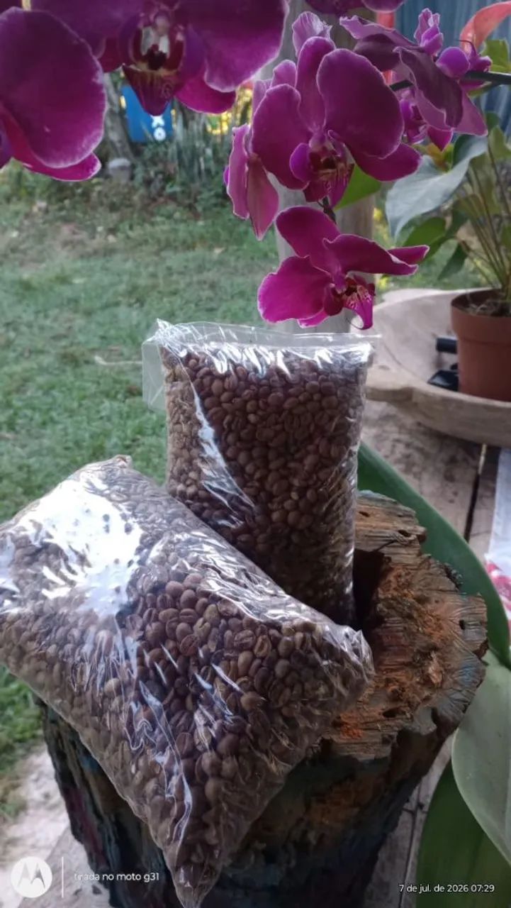 O melhor café orgânico 