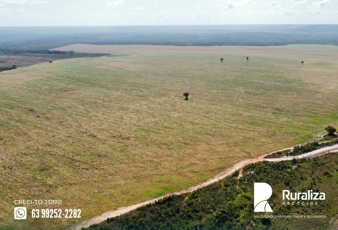 800 HA PLANTANDO | ENTRADA + 3 PARCELAS - Foto 4