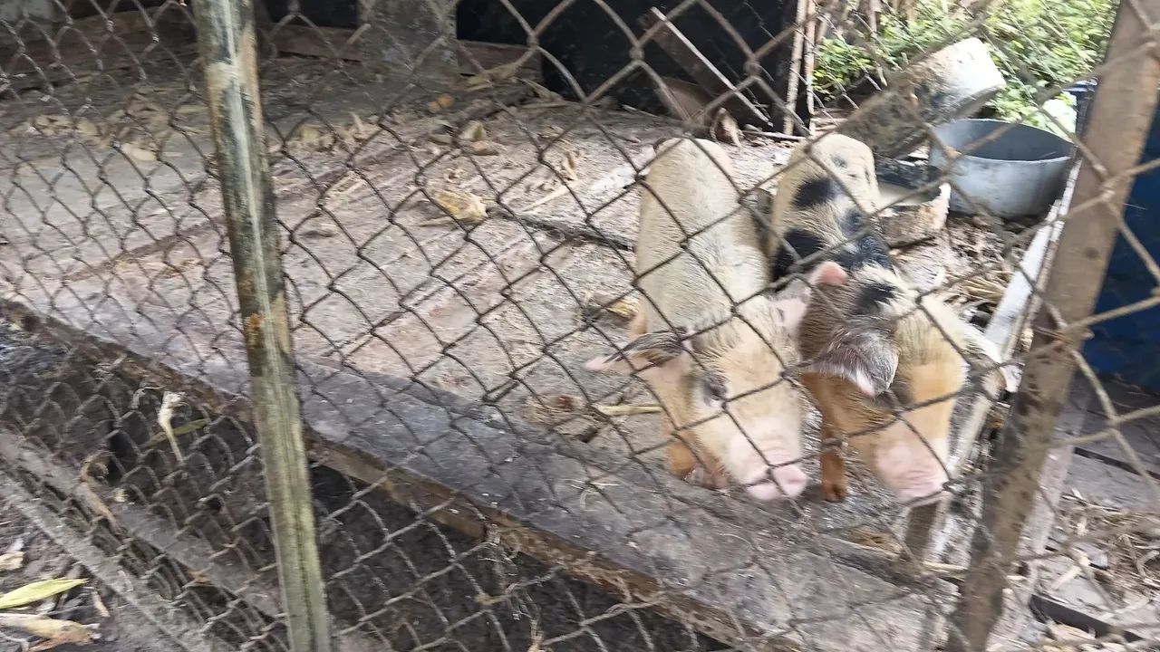 Vendo ou troco - Foto 5