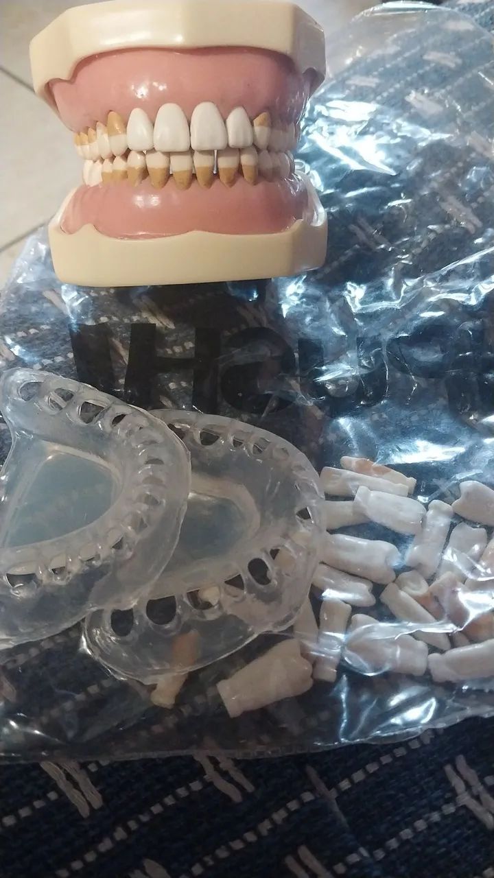 Manequim odontológico 