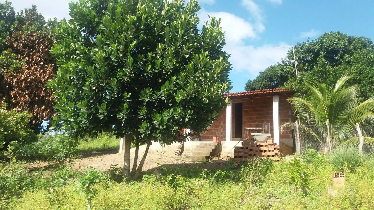 Granja santa Maria  - Foto 2