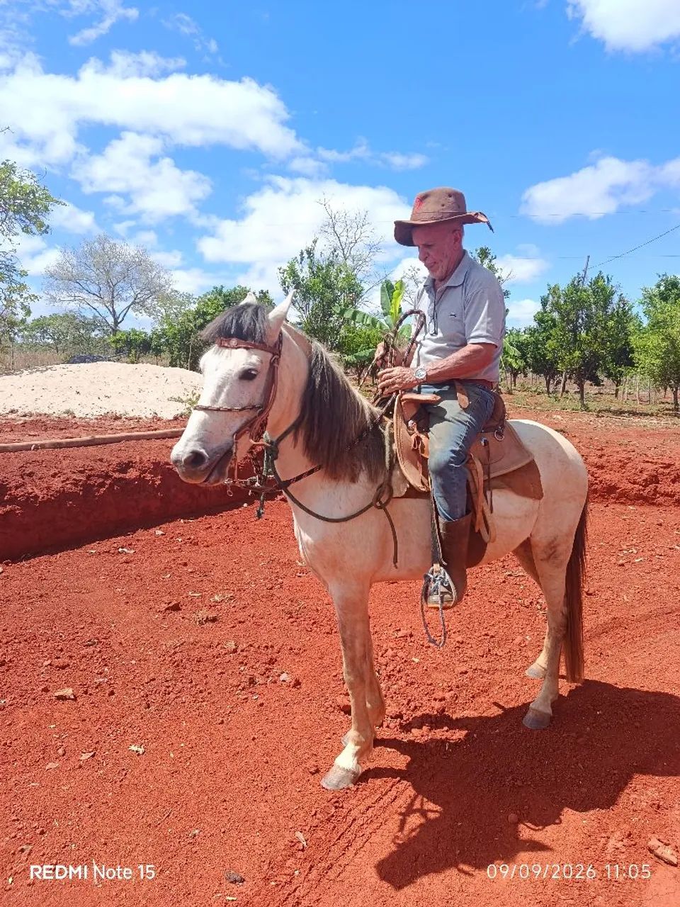 Cavalo a venda - Foto 2