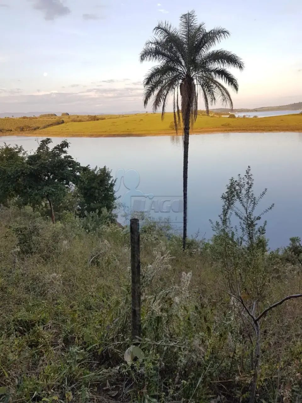 Terreno de 5.000m² em Delfinópolis - Foto 4