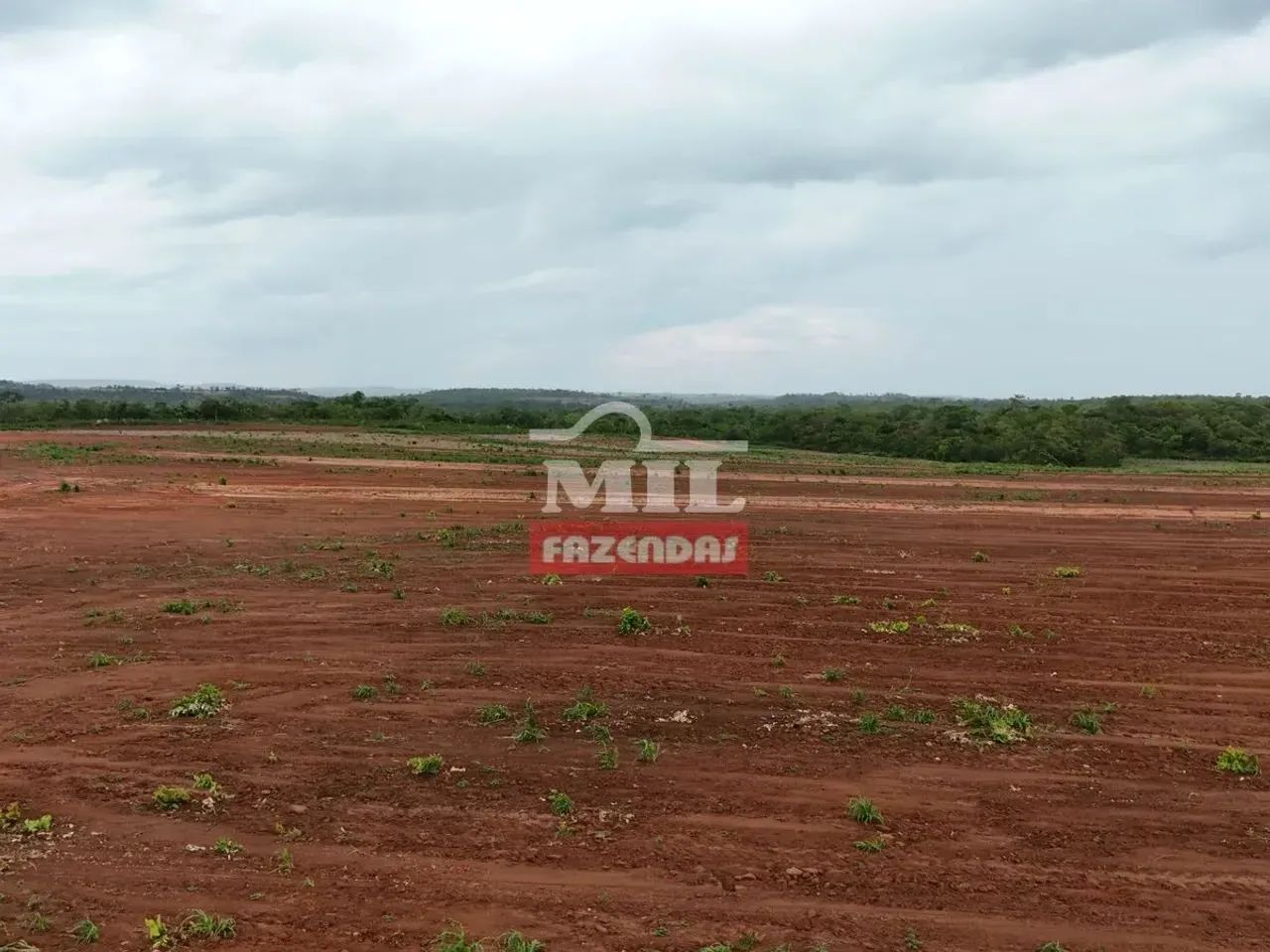 Fazenda 150 alqueires (726 hectares) Rio Do Sono - To - Foto 2