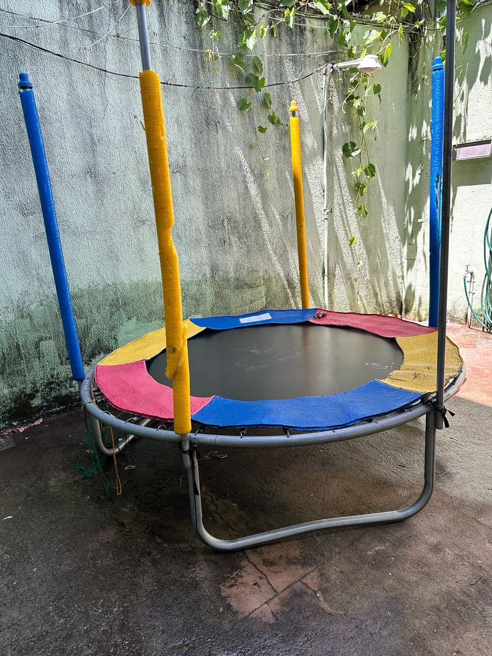 Pula Pula - Foto 2