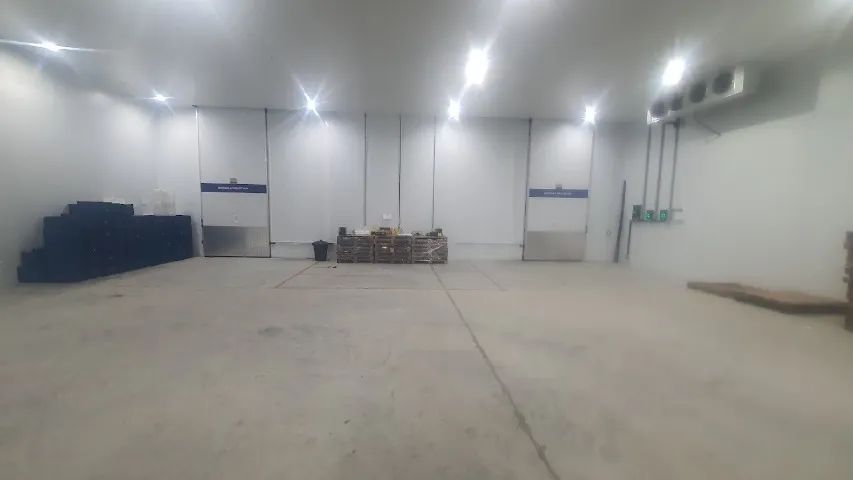Galpão de Logístico Refrigerado - Foto 4
