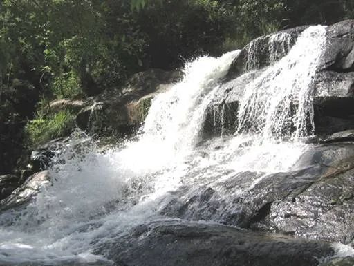 Sítio de 9 alqueires no município de Guapiara-SP