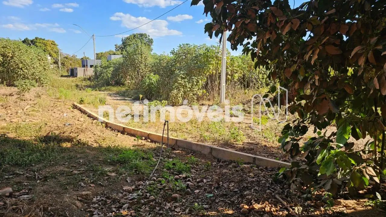 LOTE NA 26 DE SETEMBRO. - Foto 4