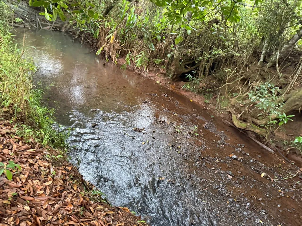 Terreno com água no fundo 