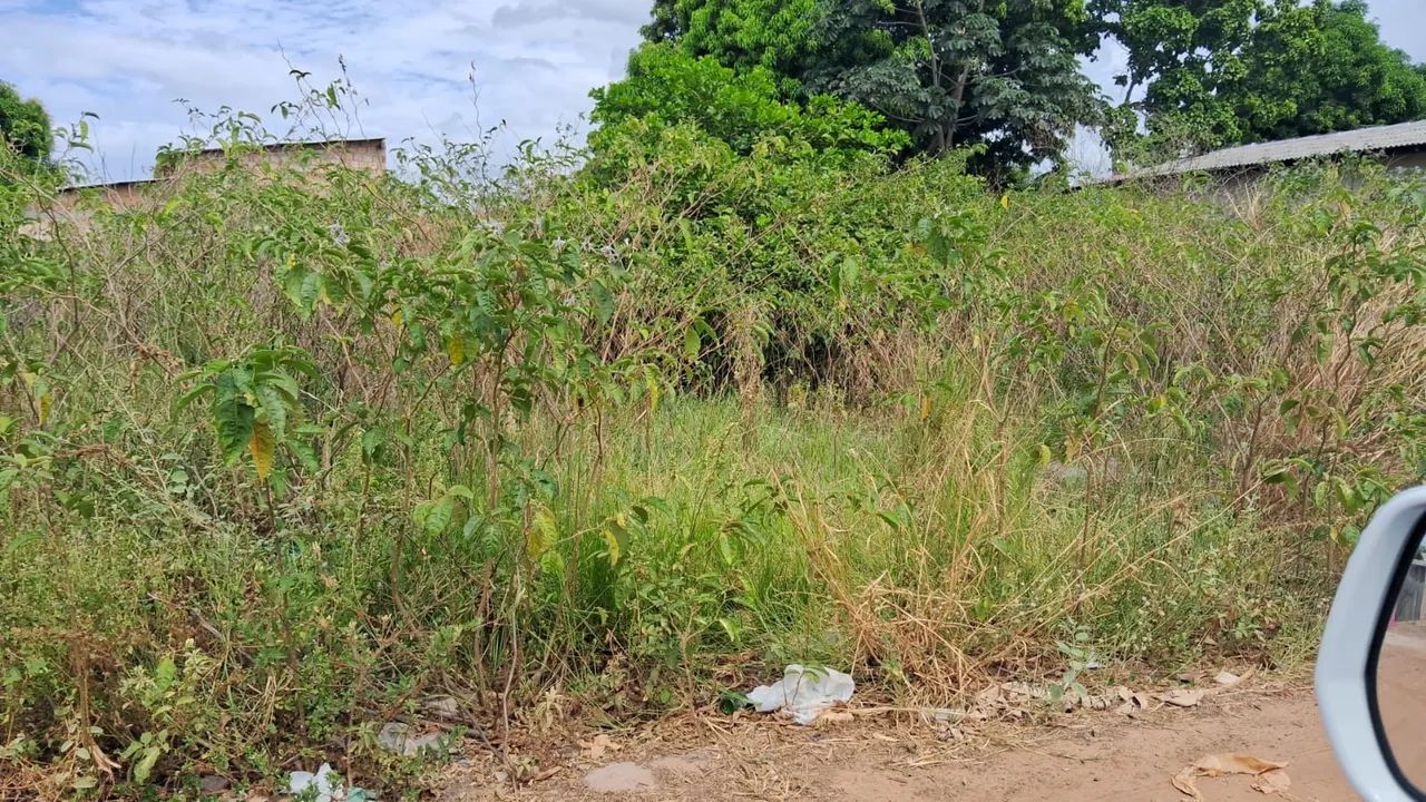 Venda 