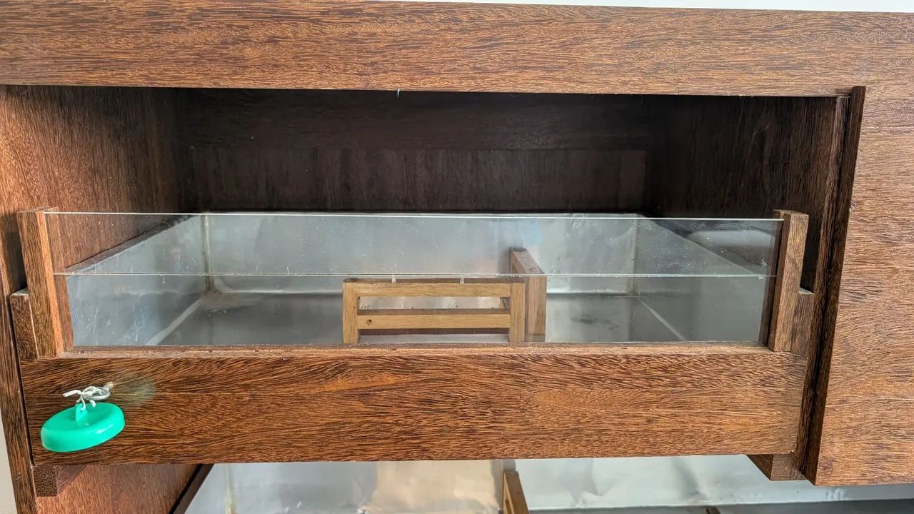 Cativero Gaiola Casa - Porquinho da Índia  - Foto 5