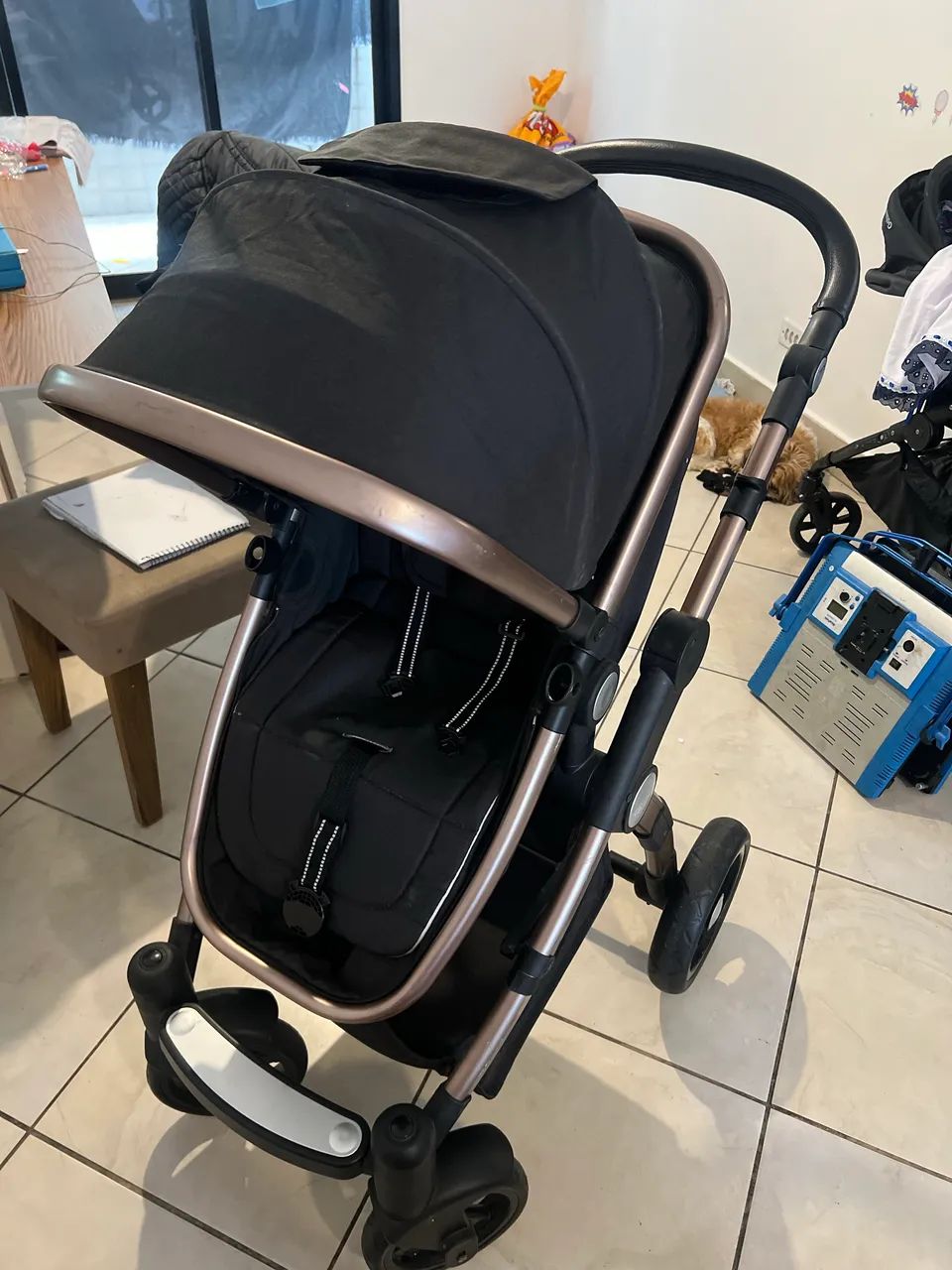 Carrinho Moisés com bebê conforto