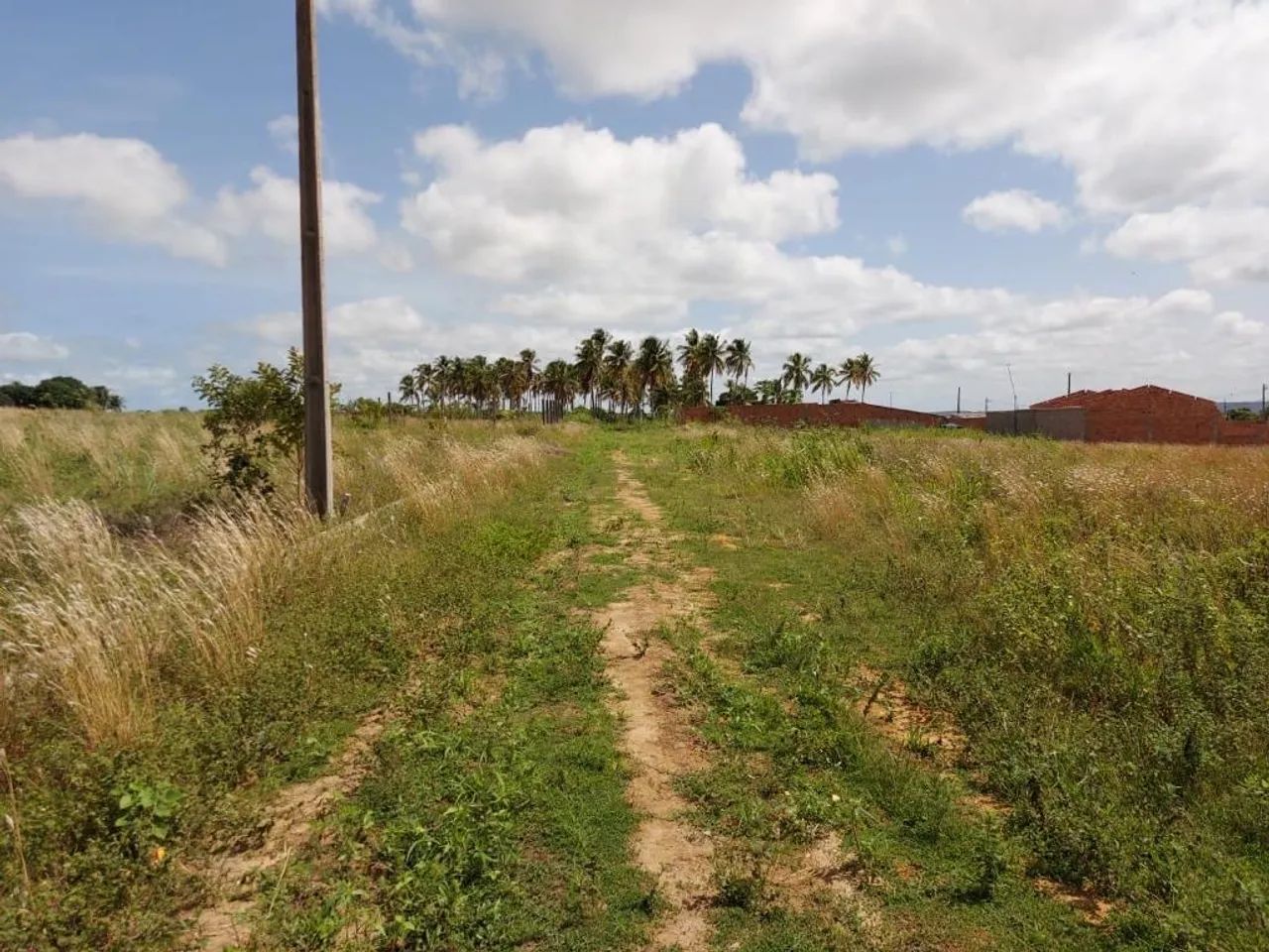 Terreno em Marechal  - Foto 3