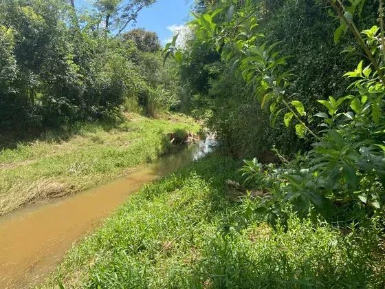 Sitio em Bonfim MG 95 km de BH com piscina aquecida e riacho para exigentes - Foto 4