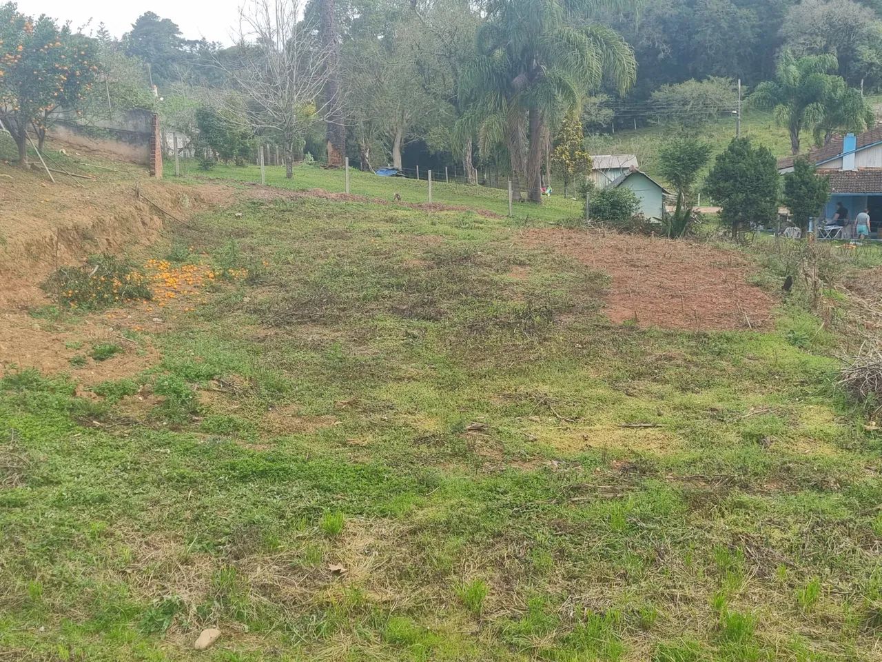 Terreno Mato Preto