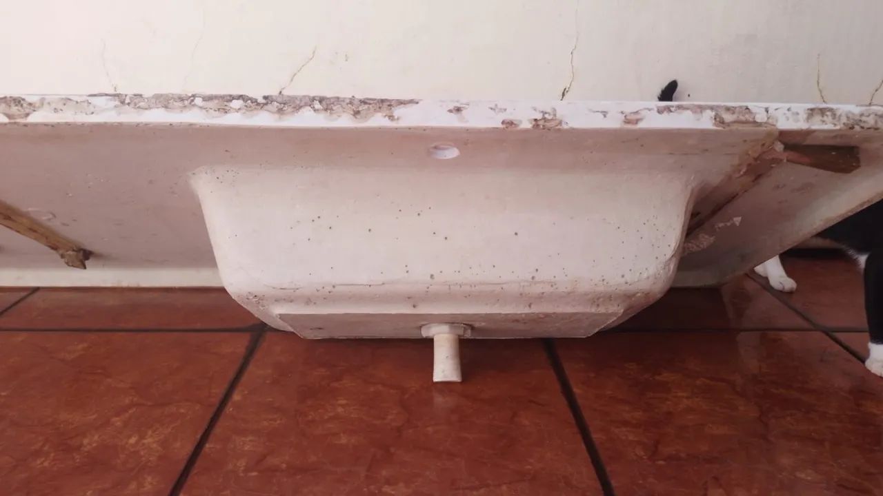 Pia Usada - Foto 2