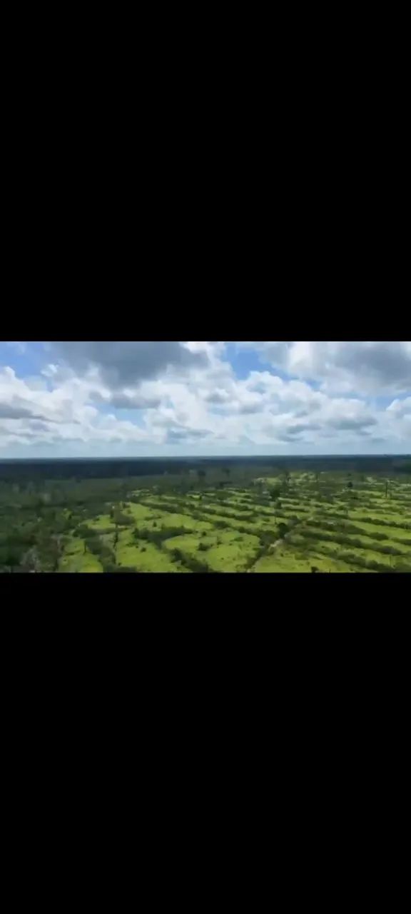 Terreno com 600 hectares de pasto  - Foto 3