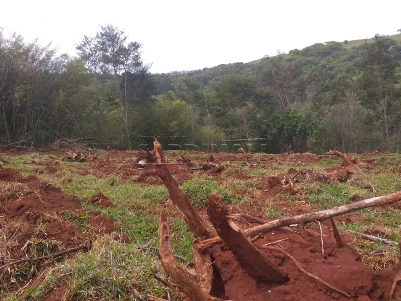 Rural Sítio em Descalvado - Foto 5