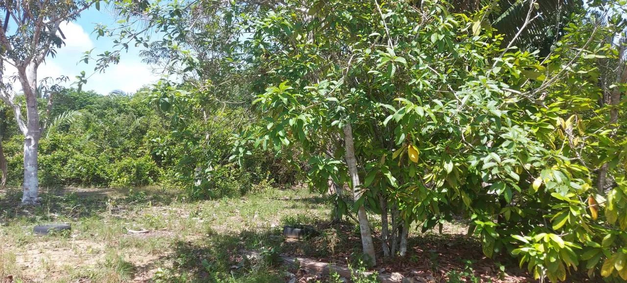 VENDE-SE SITIO - Foto 9