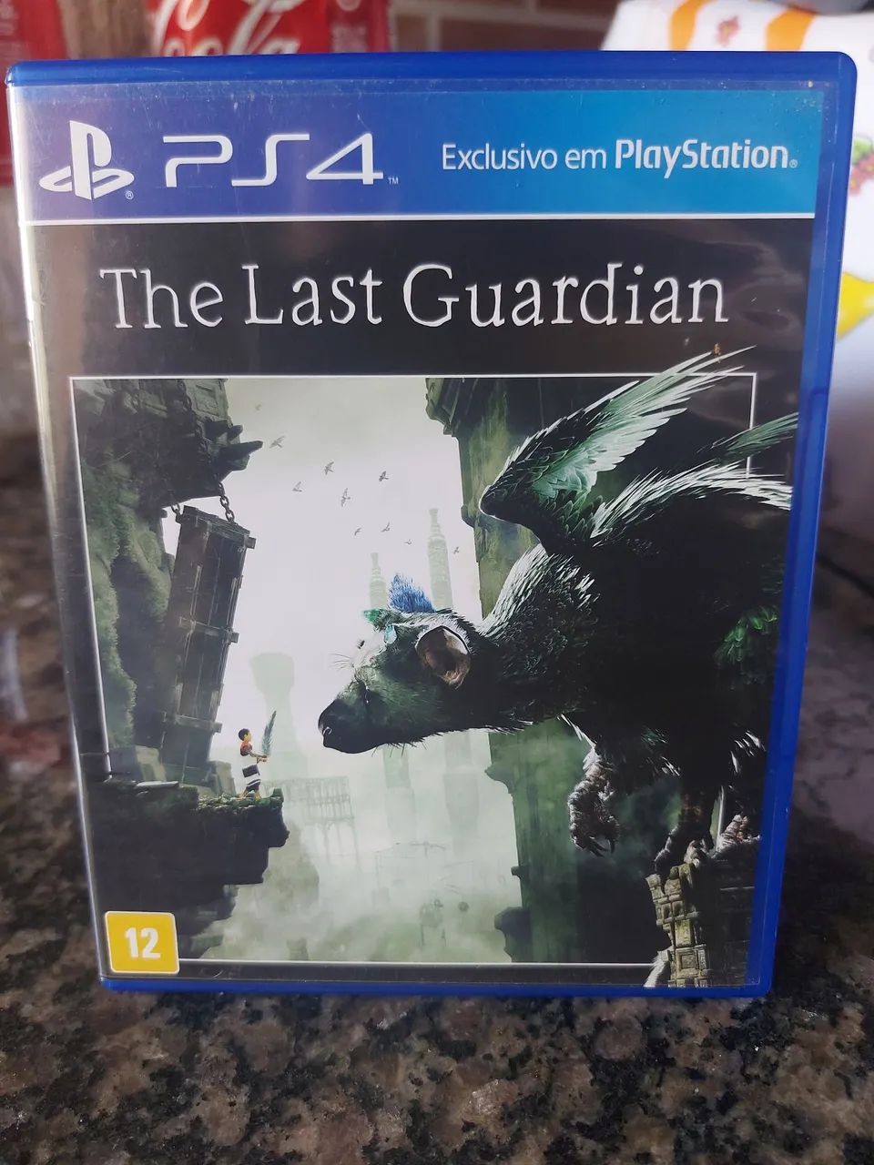 The Last Guardian 