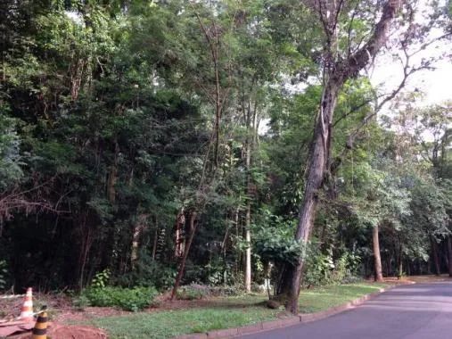 terreno - Parque São Quirino - Campinas - Foto 2