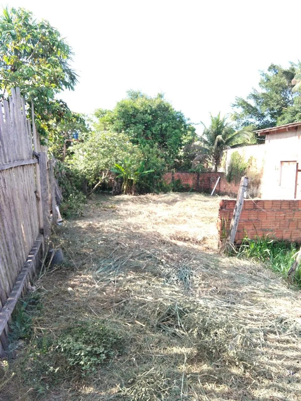 TERRENO  - Foto 2