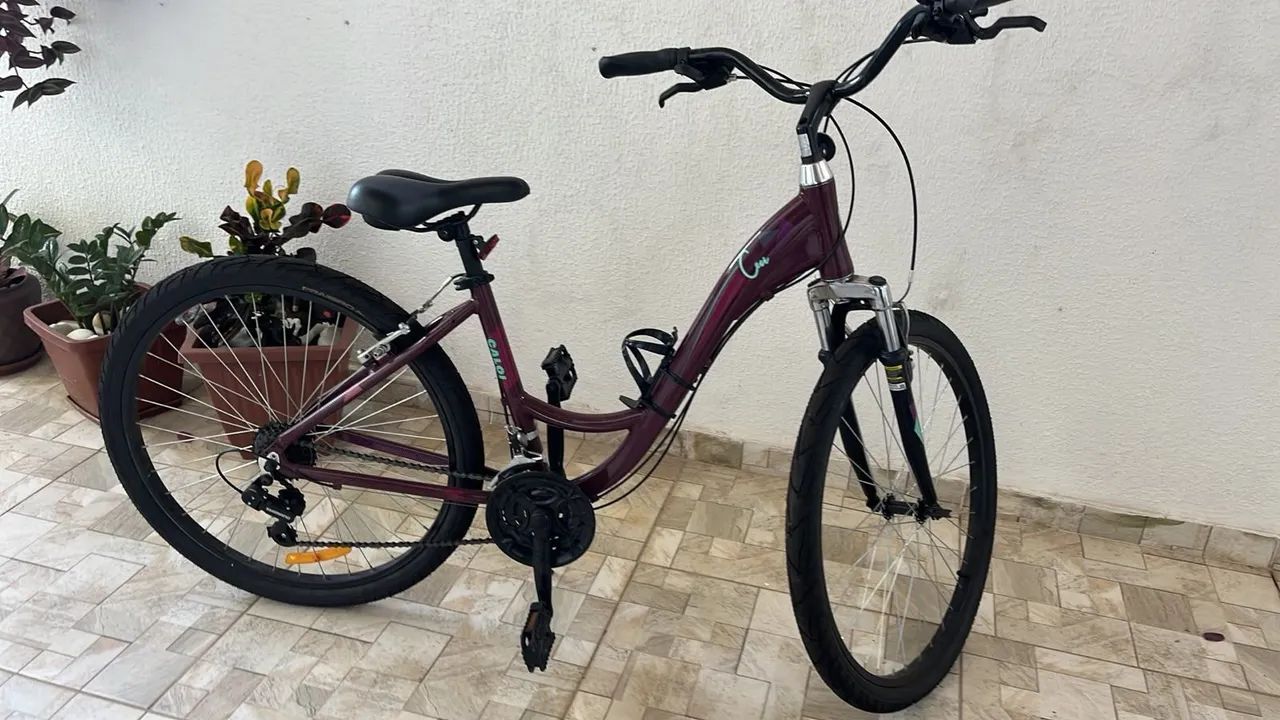 Bicicleta nova