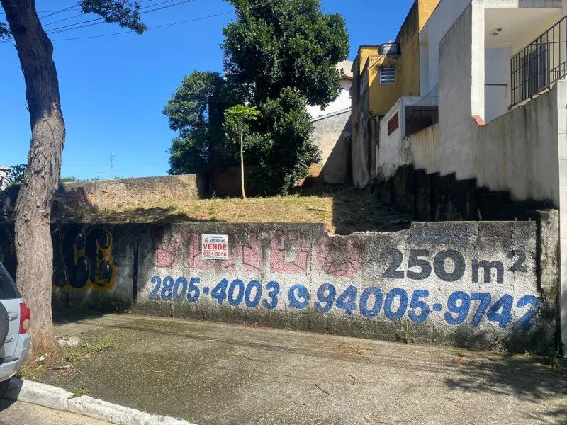 TERRENO VAGO RUDGE RAMOS S.B.CAMPO - Foto 3