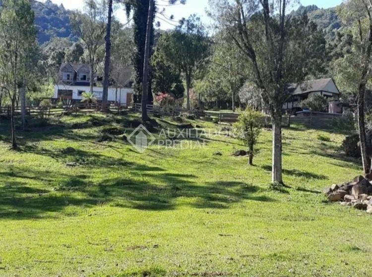 Sitio com 15.000m² - Foto 5