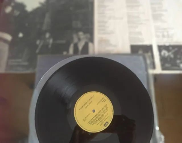 DISCOS DE VINIL PLEBE RUDE - Foto 4