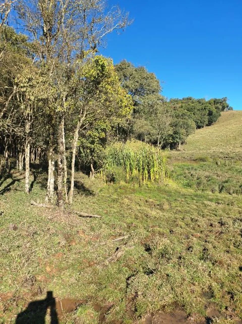 Terreno em Alfredo Wagner  - Foto 2