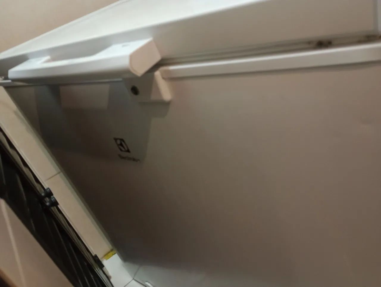 Freezer vertical