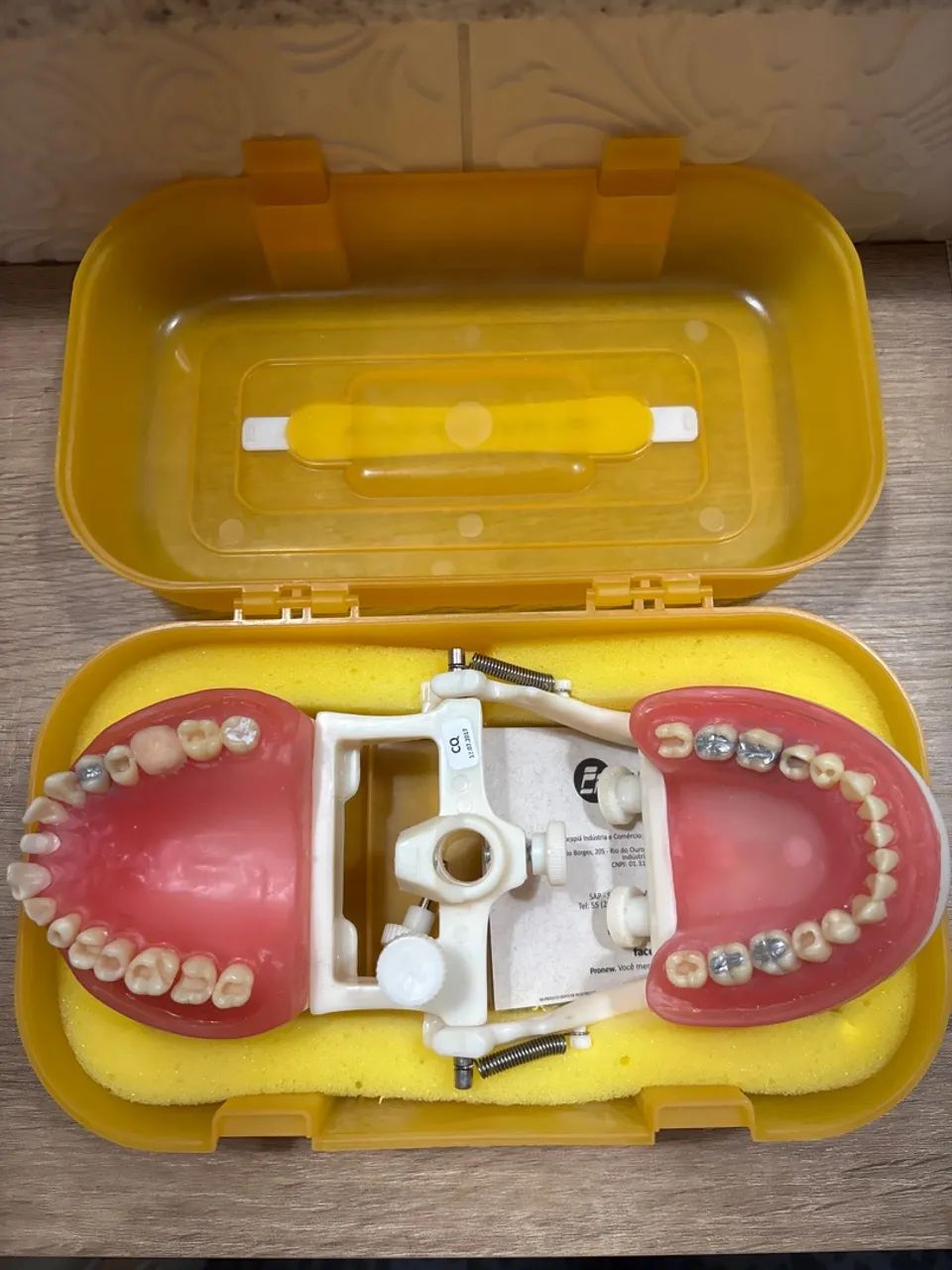 Manequim PRONEW dentistica  - Foto 4