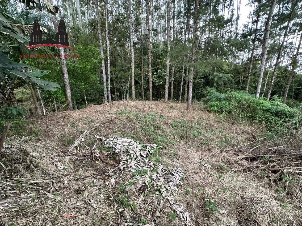Sítio à venda no Egito, um refúgio em meio à natureza! - Foto 5