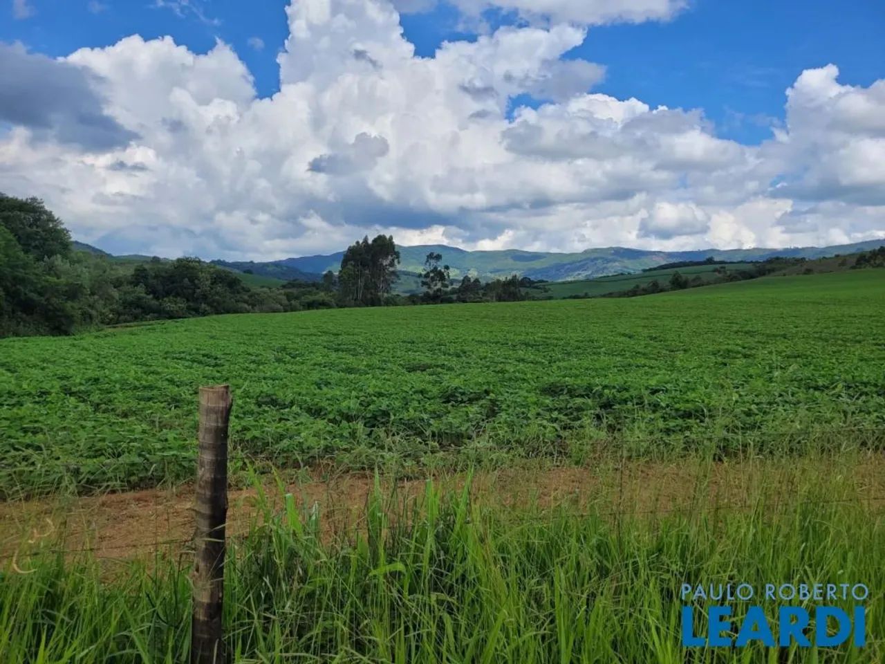 FAZENDA - CENTRO - MG - Foto 5