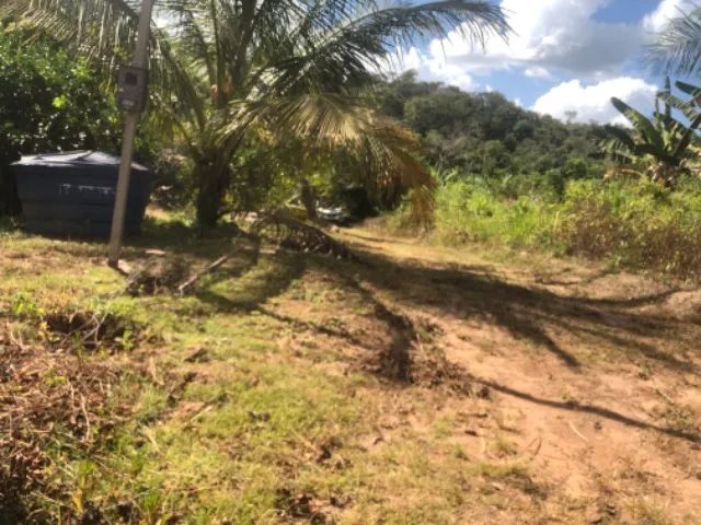 Venda-se nini chácara  - Foto 3