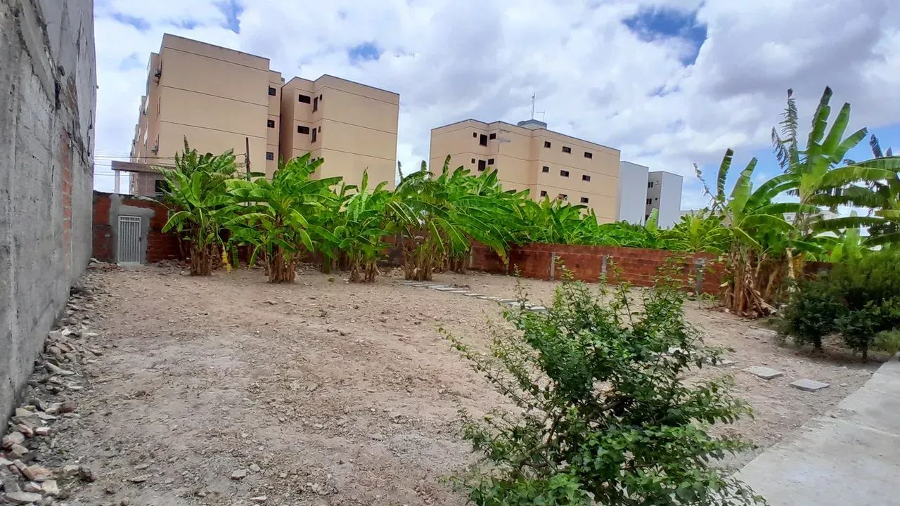 Terreno para locação na Maraponga - Foto 4
