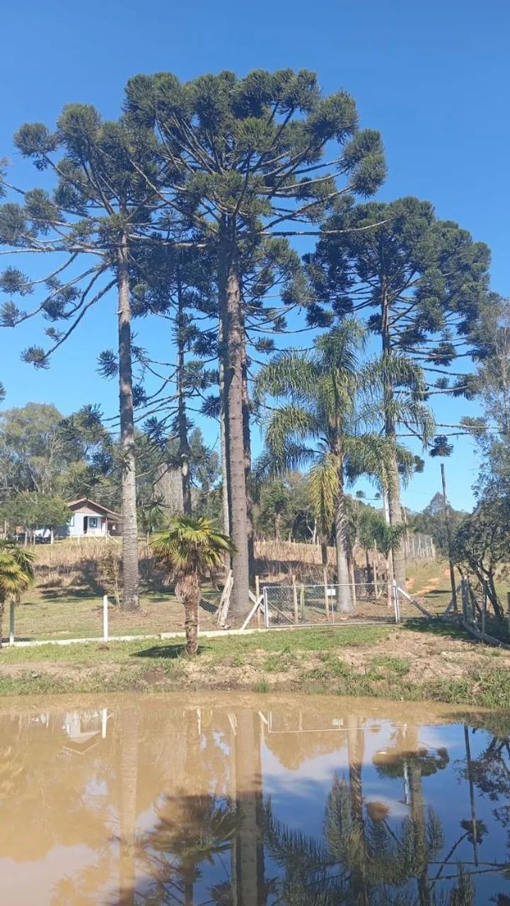 Chacrinha  - Foto 2