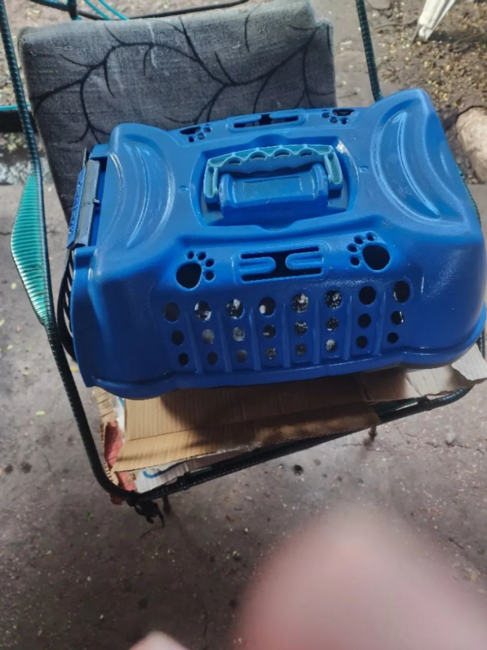 Transporte de pets