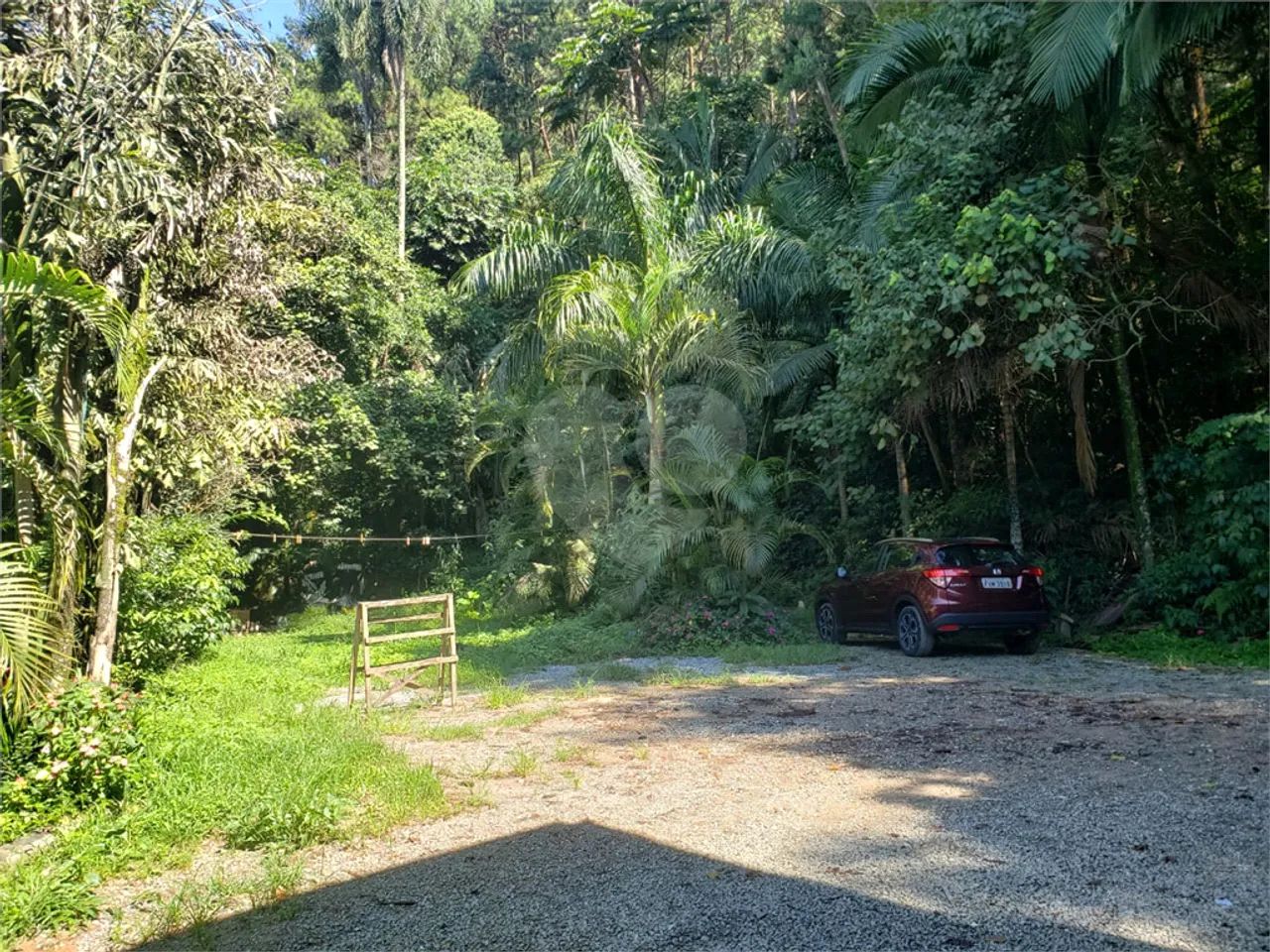 Terreno à venda em Vila amélia - SP - Foto 3