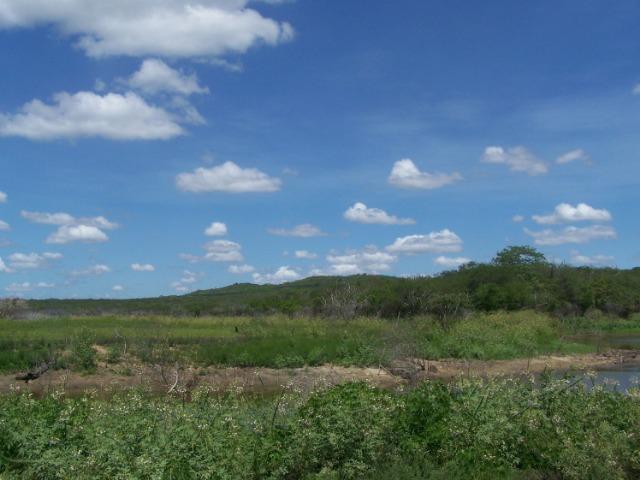 Vendo Fazenda em Poço Branco - Foto 11