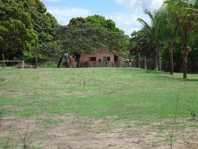 Vendo Fazenda em Ceará Mirim - Foto 6