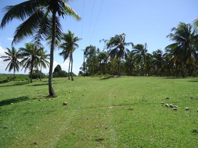 Vendo Fazenda em Ceará Mirim - Foto 12