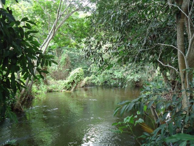 Vendo Fazenda em Ceará Mirim - Foto 14
