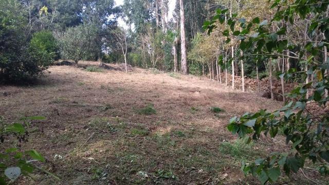 Chacara pedra preta - Foto 2