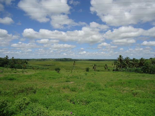 Vendo Fazenda em Ceará Mirim - Foto 11